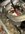 IMG_1753.jpeg