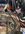 IMG_1754.jpeg