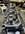 IMG_5485.jpeg