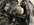 7D4D0BF0-772E-4FCF-8EB3-970CB7371208.jpeg