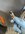 IMG_0430.jpeg