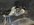 IMG_6591.jpeg