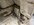 IMG_1841.jpeg