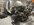 IMG_3187.jpeg