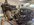 IMG_3184.jpeg