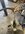IMG_3509.jpeg