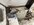 IMG_1921.jpeg