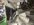IMG_3262.jpeg