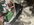 IMG_3292.jpeg