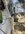 IMG_3550.jpeg