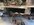 IMG_3737.jpeg
