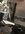 IMG_3755.jpeg