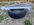 IMG_3780.jpeg