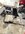 IMG_3964.jpeg
