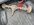 IMG_5240.jpeg