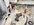 IMG_4884.jpeg