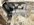 IMG_5538.jpeg