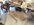 IMG_5758.jpeg