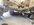 IMG_6134.jpeg