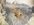 IMG_5544.jpeg