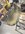 IMG_7779.jpeg