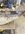 IMG_7822.jpeg