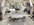 IMG_8068.jpeg