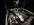 IMG_0588.jpeg