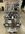 IMG_0597.jpeg
