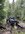 IMG_2019.jpeg