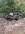 IMG_2043.jpeg