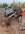 IMG_2188.jpeg