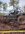 IMG_2194.jpeg