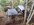 IMG_2200.jpeg