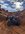 IMG_5345.jpeg