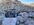 IMG_2545.jpeg