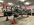 IMG_2925.jpeg