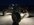 IMG_2505.jpeg