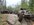 IMG_2025.jpeg