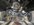 IMG_3528.jpeg