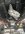IMG_3529.jpeg