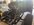 IMG_3531.jpeg
