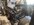 IMG_3533.jpeg