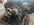 IMG_3535.jpeg
