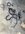 IMG_3534.jpeg