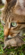 IMG_0554.png