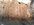 IMG_4543.jpeg