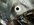 IMG_0691.jpeg