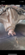IMG_0143.png