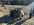 IMG_4893.jpeg